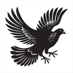Fototapeta premium Rock Dove Silhouette, Pigeon Bird Clipart - Rock Dove taking off Illustration in black and white
