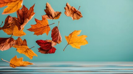 Crisp autumn day with leaves swirling in the wind, cool weather, fall colors