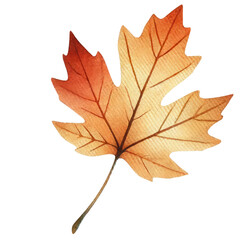 Fototapeta premium Watercolor illustration of an autumn leaf in warm orange hues, capturing the essence of fall season nature.