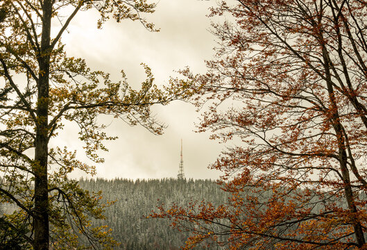 Autumn colors in St Serge, Jura with snow-covered trees