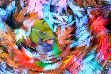 Abstract autumn leaves in vivid colors