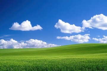 Fototapeta premium Vast Green Field under a Clear Blue Sky