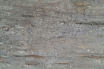 Close-up of a dark, textured rock surface with fine, layered striations
