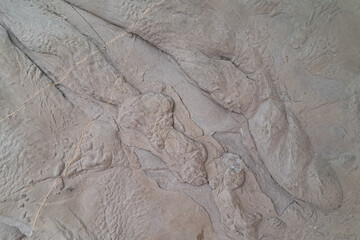 Smooth, grayish rock surface with subtle ridges and a few visible cracks