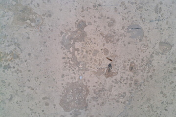 Close-up of a concrete surface displaying a weathered texture with various stains, speckles