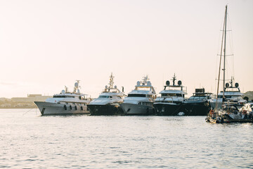 boats in the harbor