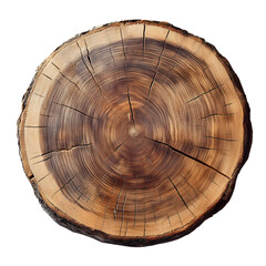 Obraz premium Top view smooth cross section tree stump slice with age rings wood grain isolated on white background. 