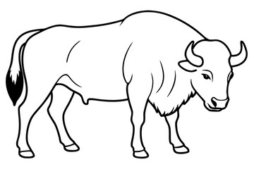 Buffalo liner art vector, Buffalo minimal illustration