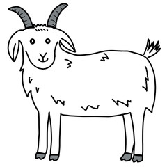 Goat