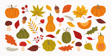 Hand drawn abstract set autumn doodle elements. Fall leaves, mushroom, maple, acorn, berries, oak, pumpkin. Harvest time. Autumn floral stickers. Vector trendy flat illustration.