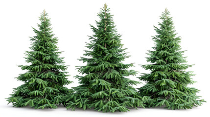 Obraz premium hots of fresh gorgeous fir trees in lush green ai genrative