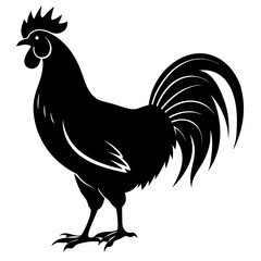 Hen Silhouette Vector Illustration, Chicken on white background