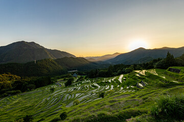 夕暮れ時の丸山千枚田