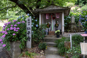 あじさいの名所仁平寺