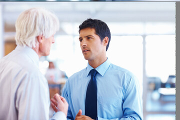 Staff, discussion and manager helping in office, talking and consulting mentor for advice. Business...