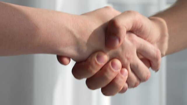 Welcome gesture. Strong friendly handshake with bare hands on a white background.
Hello, meeting, hands, greeting, business, partner, people