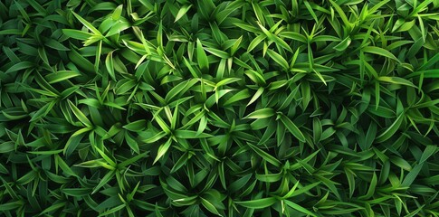Obraz premium Lush Green Grass Background. Detailed High Detailed Wallpaper