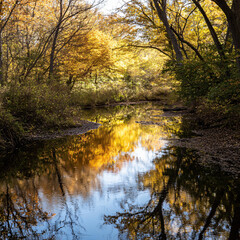 A peaceful river reflecting the autumn foliage in the surrounding trees.