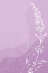 Lavender flowers Floral background vector