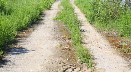 A grassy dirt road in the countryside