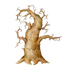 Old dry tree painted illustration. Vintage style hand drawn tree with curved branches no leaves. Old crooked oak with bald twigs, park, forest countryside landscape element on white background