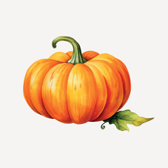 Vibrant autumn pumpkin illustration