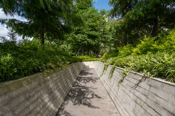 A narrow, paved pathway surrounded by lush greenery, flanked by two tall concrete walls that create a tunnel-like effect. The landscaping design of a retaining wall, raised garden beds, and a footpath
