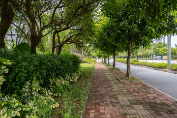 The pedestrian walkway or paved brick path is lined with mature trees and shrubs that provide shade, and a concrete curb separating the sidewalk from the road.