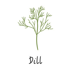 Dill isolated on white background. Fresh bunch dill. Dill weed twig for menu, packaging, cooking book, web or label design vector illustration in flat style
