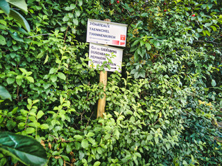 Ribeauville town - Alsace, Grand Est (France)