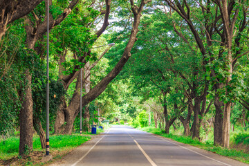 Fototapeta premium Natural background, high angle view from the observation point, blurred golden rays of the sun visible. The mountains that were setting on the horizon, changed beautifully with the wind.
