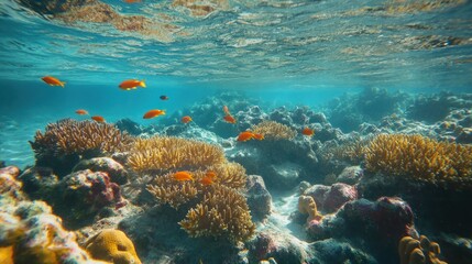 Fototapeta premium Underwater Coral Reef with Orange Fish