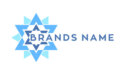 Obraz premium Star geometric logo design vector