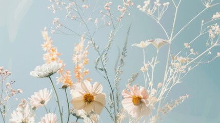 Soft pastel flowers with delicate petals sway gently, creating a serene and peaceful ambience against a blue backdrop.