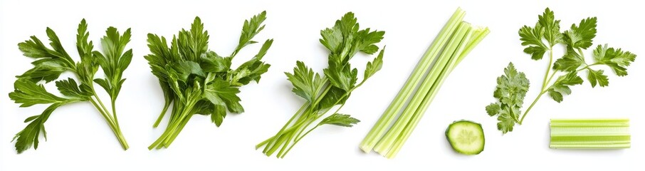 Flat lay view of Fresh salad vegetables, healthy with organic ingredients, set of green celery with leaves isolated on a white background.