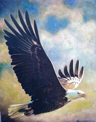 eagle in the sky