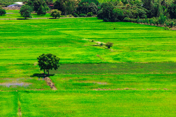 Natural background, high angle view from the observation point, blurred golden rays of the sun visible. The mountains that were setting on the horizon, changed beautifully with the wind.