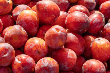 fresh ripe Cherry Plum fruits background.