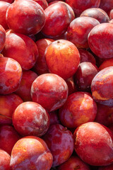 fresh ripe Cherry Plum fruits background.