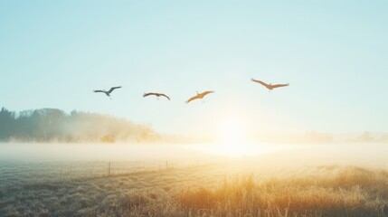 A group of birds flying in formation over a misty landscape during sunrise, the soft golden light embodying harmony and the gentle beauty of the morning.