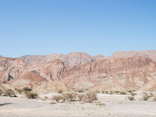 Rocky desert view with trees against blue sky, Oman, Middle East