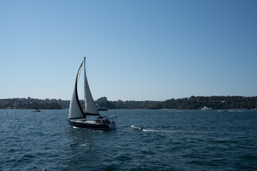 Fototapeta premium sailboat on the sea