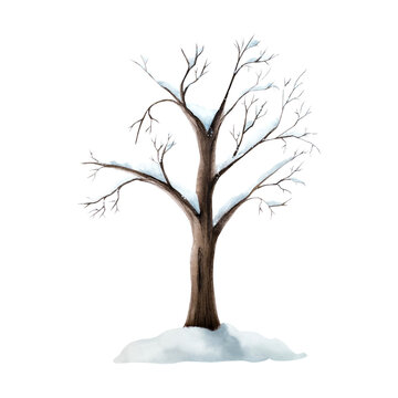 recommend clip art: Snow covered tree without leaves. Winter watercolor plant, hand painted illustration isolated on background. For designers, decoration, shop, for postcards, wrapping paper, covers. For posters and tex