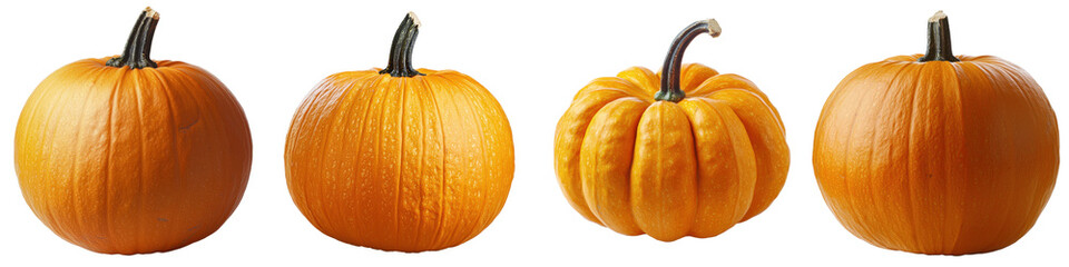 Obraz premium Pumpkin cut out transparent isolated on white background PNG