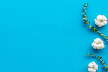 Flowers border with green eucalyptus branches and dry cotton flowers on blue background top view...