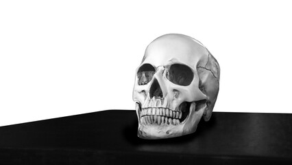 Human skull isolated in black and white