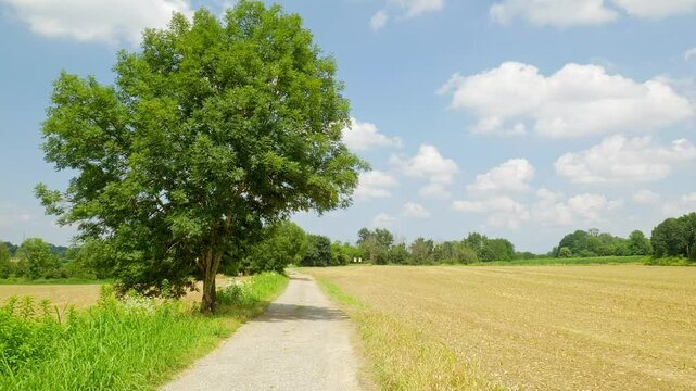 Pictorial image of dirt road with tree among fields. Walking and hiking in nature. Being outdoors. Serenity, calm and relaxation. Blue sky with white clouds. Collegno, Italy. Real time 4K video.