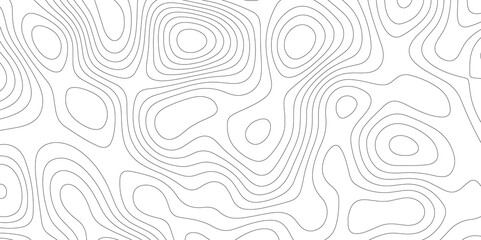 Mapping in White: The Topographical Topology of Vectors