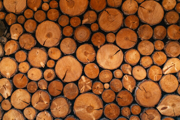 Natural log pile. round teak log texture. Background pattern interior wall decoration photo.