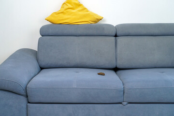 The dog pooped on the sofa and ran away. Poop on a blue sofa. Bad behavior of dogs and cats. Place...